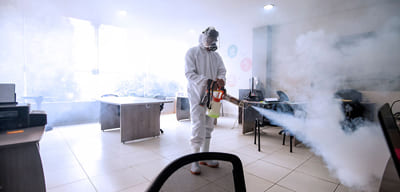 Дезинсекция - Cleanmaster